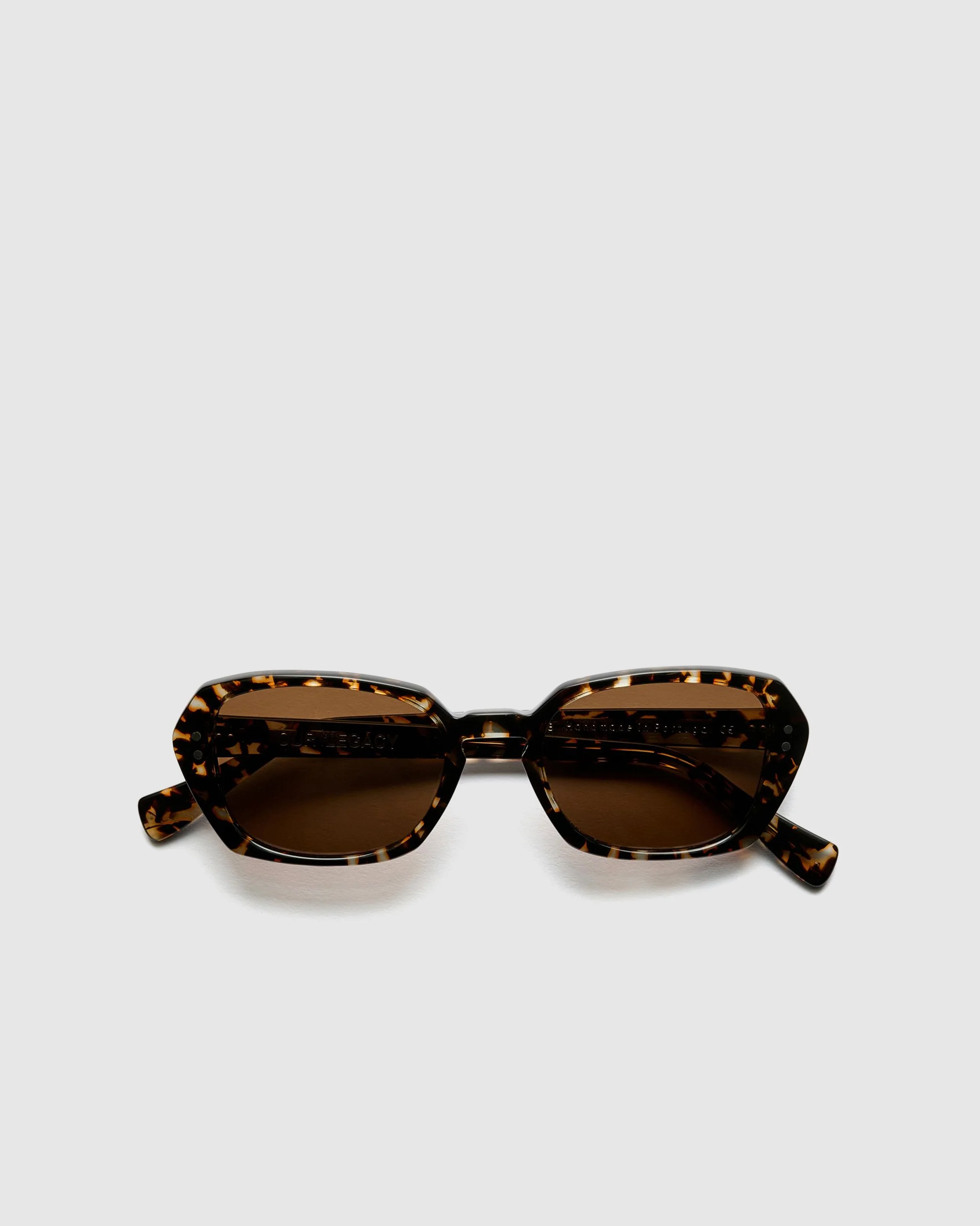 Earth - Glass Tortoise
